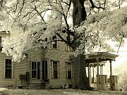 house01
