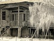 oldcahawba2