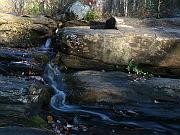 cheaha05