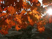 cheaha06