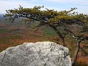 cheaha07