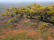 cheaha08