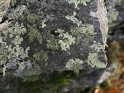cheaha10