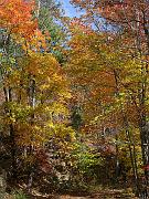 cheaha13