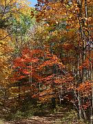 cheaha15