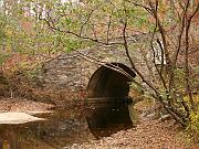 cheaha18