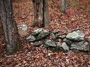 cheaha20