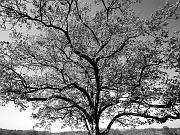 gettysburg08