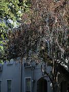 neworleans24