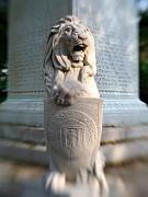 savannah20