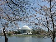dc06