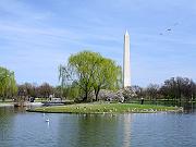 dc11
