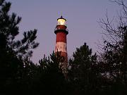 assateague01