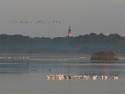 assateague02