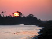 assateague03