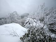 pinemountain04