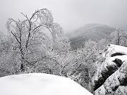pinemountain05