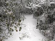 pinemountain08