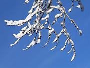 snow05