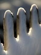 snow08