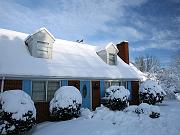 snow11