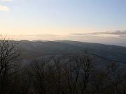 wintergreen03