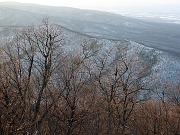 wintergreen04