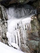 wintergreen05