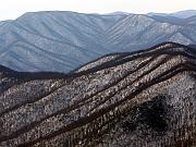 wintergreen07