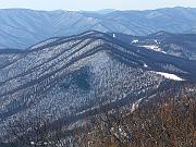wintergreen09