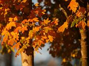 Fall_2011