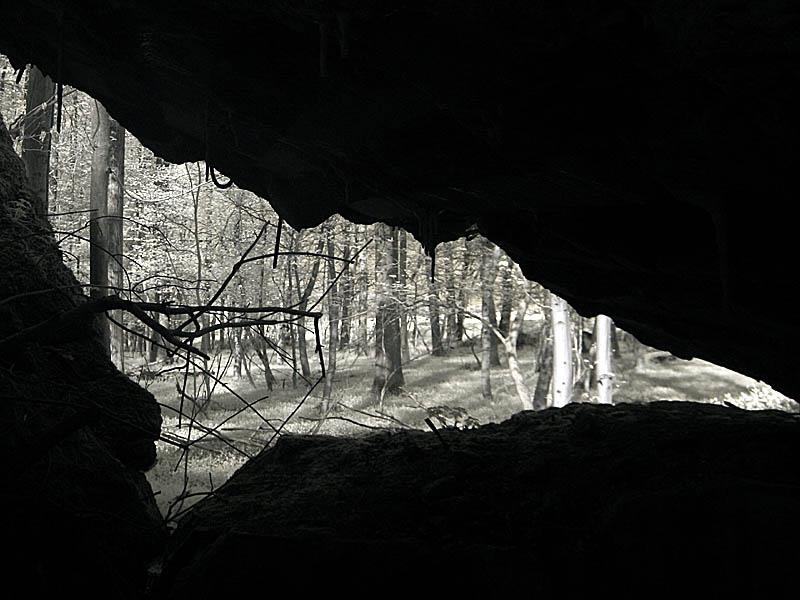 bunkers12.jpg