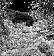 montezuma-bw
