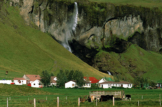 fossi.jpg
