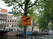 amsterdam7