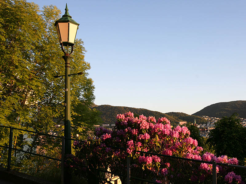 bergen43.jpg