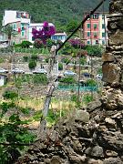 corniglia08
