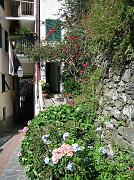 manarola35