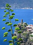 vernazza04