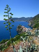 vernazza05