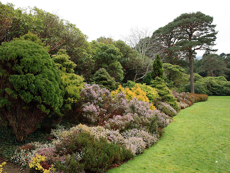 muckross7.jpg