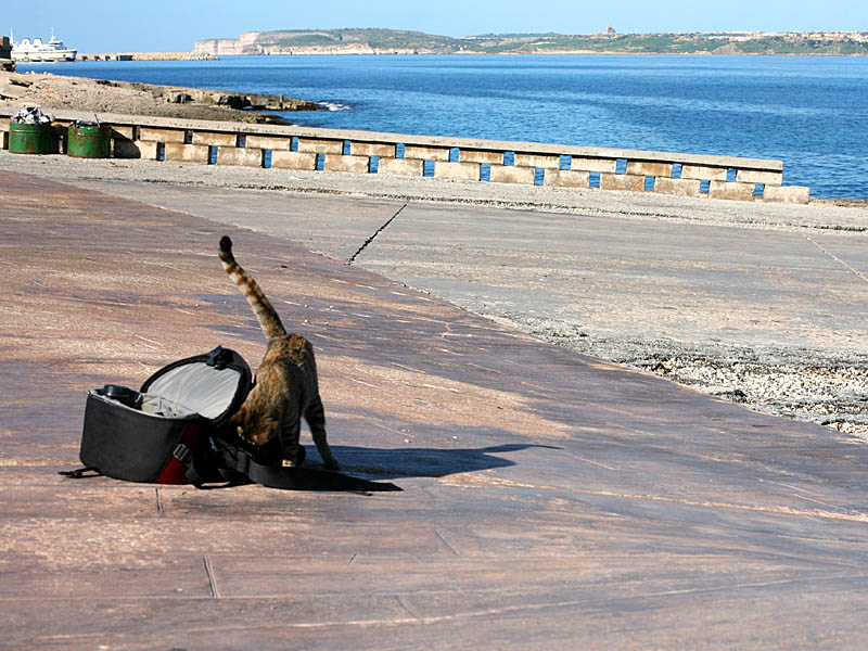 malta09-01.jpg
