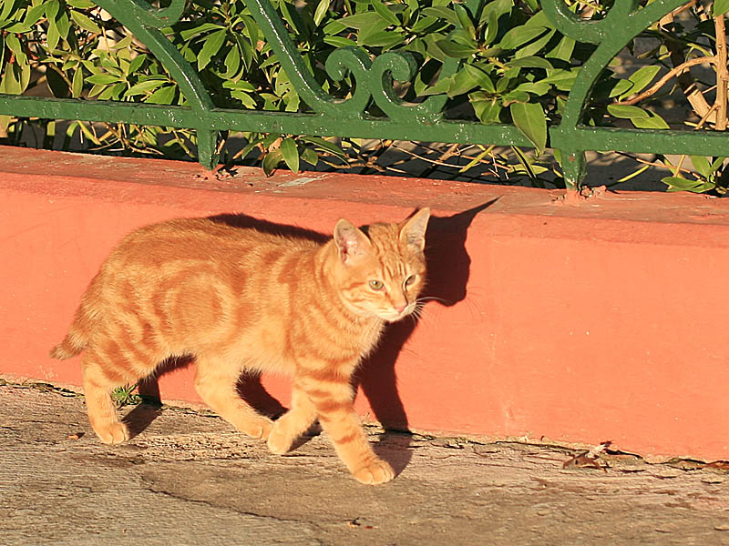 malta09-10.jpg