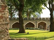 london03