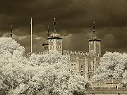 london11