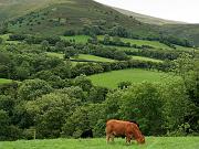 wales08