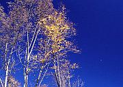 deepgap