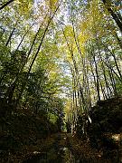 fall09-03