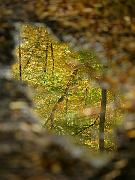 fall09-08