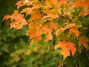 fall09-12